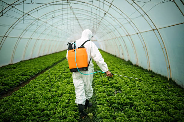 Reliable Riverview, FL Pest Control Solutions