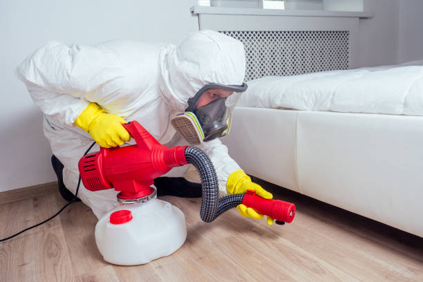 Best Wasp Removal Services  in Riverview, FL