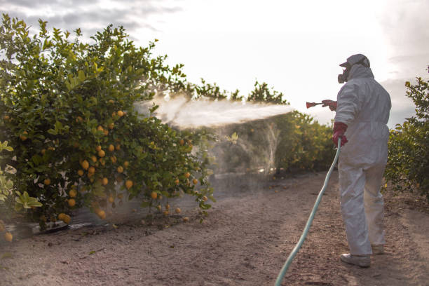 Best Commercial Pest Control Services  in Riverview, FL