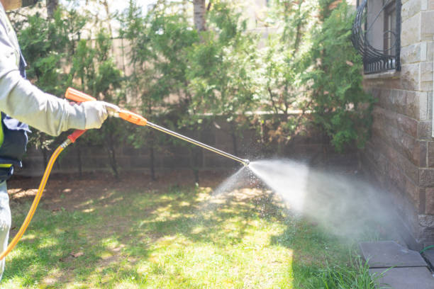 Best Termite Control Services  in Riverview, FL