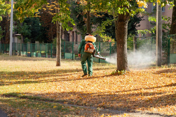 Best Insect Control  in Riverview, FL