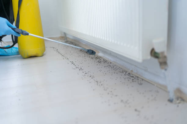 Best Emergency Pest Control  in Riverview, FL